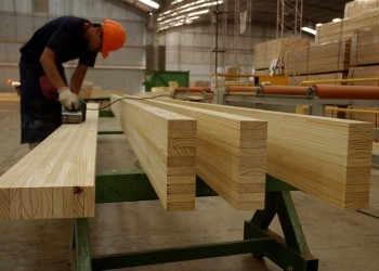 Los madereros lograron otro aumento para mayo y alcanzan el 19%