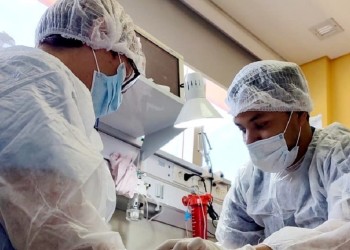 Enfermería: ejercicio ilegal y cursos no habilitados, problemas vigentes