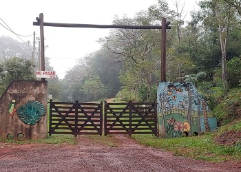 Reabrió sus puertas el Jardín Botánico de Oberá y trabajan en el Museo de Ciencias