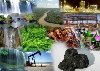 Medio ambiente y diálogo