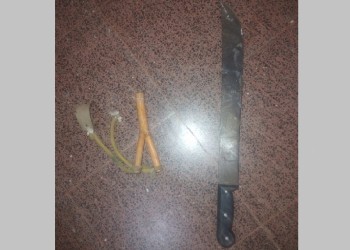 Se atrincheró con una gomera y un machete tras agredir a su pareja