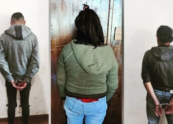 Dos hombres y una mujer detenidos por ofrecer loros en peligro de extinción en Posadas