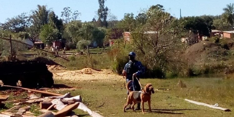 “FLASH”. El perro de la raza Bloodhound que colaboró con la Policía Científica para determinar el lugar del crimen y facilitar el secuestro de elementos de prueba para la causa