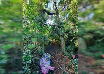 Investigan la muerte de un hombre en el Parque Provincial Urugua-í