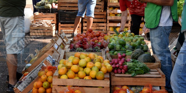 VARIEDAD. Todos los cítricos, a pleno en los cajones de los productores.