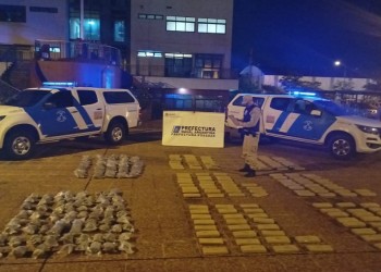 Prefectura descubrió más de 170 kilos de marihuana en El Zaimán