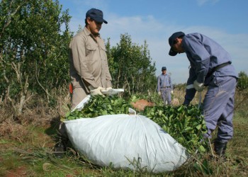 Piden denunciar a los productores que pagan menos del precio oficial