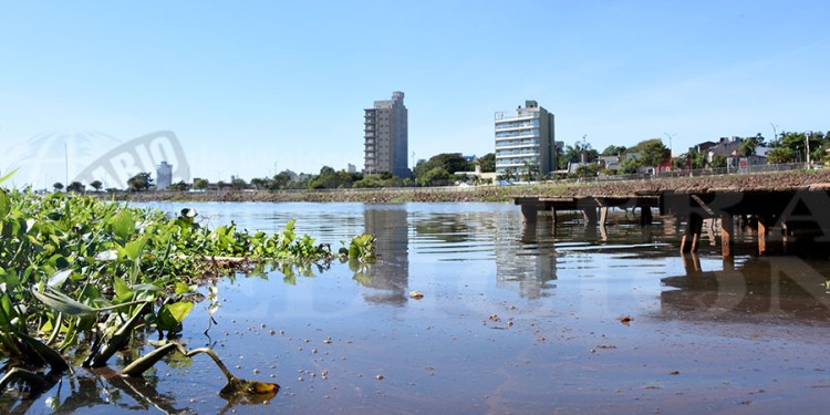 PAISAJE DESAGRADABLE. Restos de material fecal asoman por la superficie del río Paraná en la zona de la bahía El Brete.