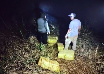 Tras enfrentamiento a tiros entre policías y narcos, incautan 287 kilos de marihuana