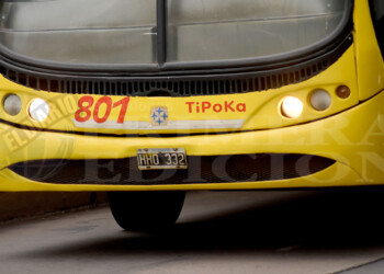Colectivos del Grupo Z: “viejos”, con deudas de patente, pero “limpitos” de multas