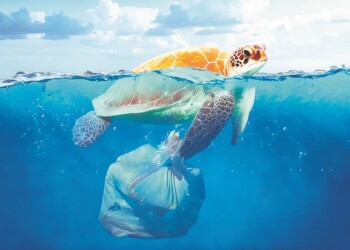 Acciones para preservar el Planeta Azul