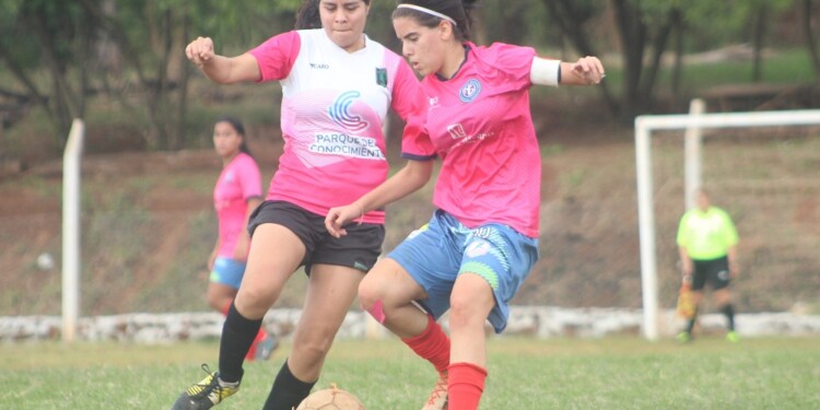 SIN INCONVENIENTES. Estudio Galeano derrotó por un claro 12-0 a 1º de Mayo (Foto: Liga Posadeña)