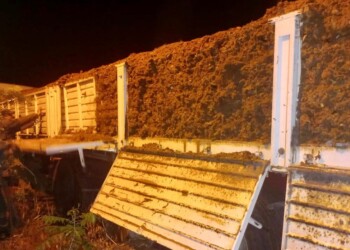 Llevaba más de una tonelada de marihuana oculta entre huesos triturados