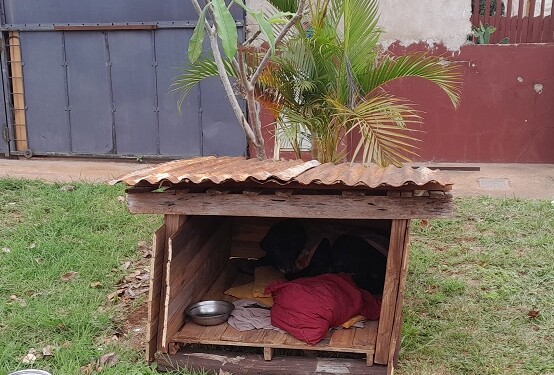 No se la ve mucho, no solamente porque es negra, sino que está bien al fondo acurrucada.
