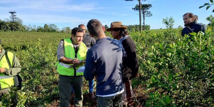 DERECHOS LABORALES. El organismo aseguró que continuará la tarea de cuidar al eslabón más débil del rubro.