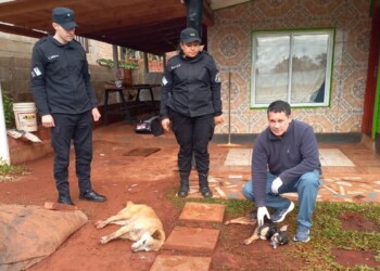 Desconocidos envenenaron a sus perros