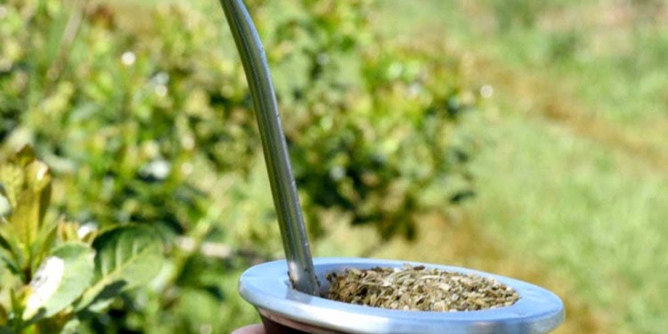 DESREGULACIÓN. El Gobierno nacional le quitó la facultad de regular precios al INYM y generó una crisis entre los miles de productores que tiene esta economía.