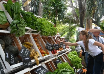 La emblemática Bajada Vieja estrena Feria Franca