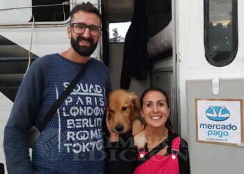 Recorren el país en motorhome, acompañados de sus mejores amigos