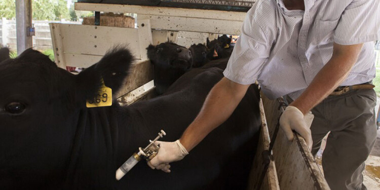 PORCENTAJES ALTOS. Se destacó el éxito de la campaña.