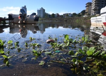 El Brete: río, paisaje e identidad