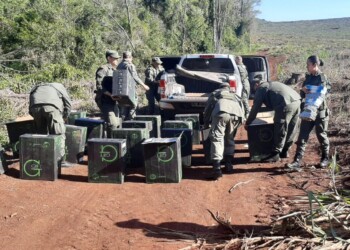 26 mil paquetes de cigarrillos incautados tras dos operativos