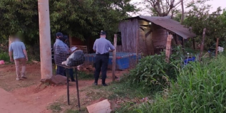 LA ESCENA. La policía realiza peritajes junto a la pileta de lona donde cayó muerto César David Quiroz.