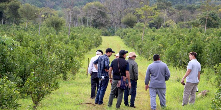 EN CAMPO. Las jornadas de extensión se dieron recientemente en la Reserva Deja Vú.