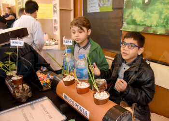 Los pequeños demuestran lo que saben en la instancia zonal de la feria de ciencias