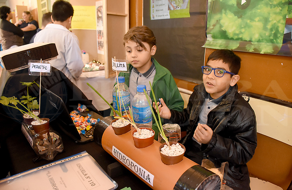 Los pequeños demuestran lo que saben en la instancia zonal de la feria ...