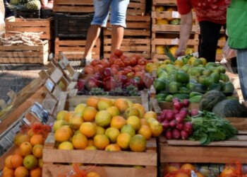Feria franca: cítricos llegaron a estar cinco veces menos que en los supermercados