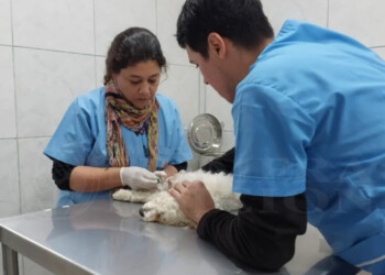 Se inauguró la nueva sede de IMuSA en Posadas