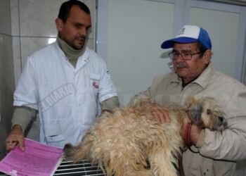 “Ya no podíamos atender la demanda de  castraciones y atención de las mascotas”