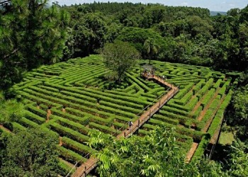 Montecarlo: “El laberinto natural está perdido”