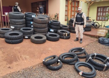 Tras dos allanamientos en Jardín América secuestraron 115 neumáticos de origen ilegal