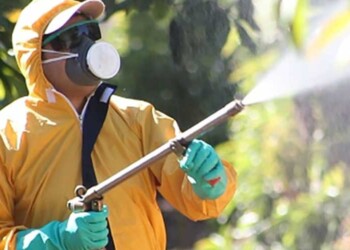 Prohíben fitosanitarios y principios activos con clorpirifos etil y metil