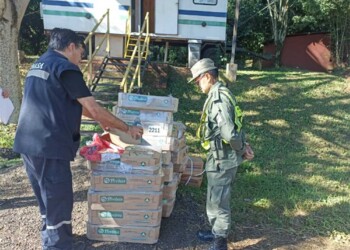 Decomisaron pollo y embutidos de contrabando en Iguazú