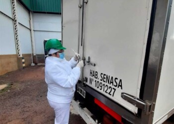 Se donaron 1.383 kilos de carne proveniente de faena sanitaria luego un decomiso en Misiones