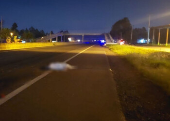 Peatón murió atropellado sobre la ruta 12 en Candelaria