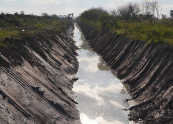Caso Cecilia Strzysowski: hallaron huesos y un dije cerca de la chanchería de los Sena