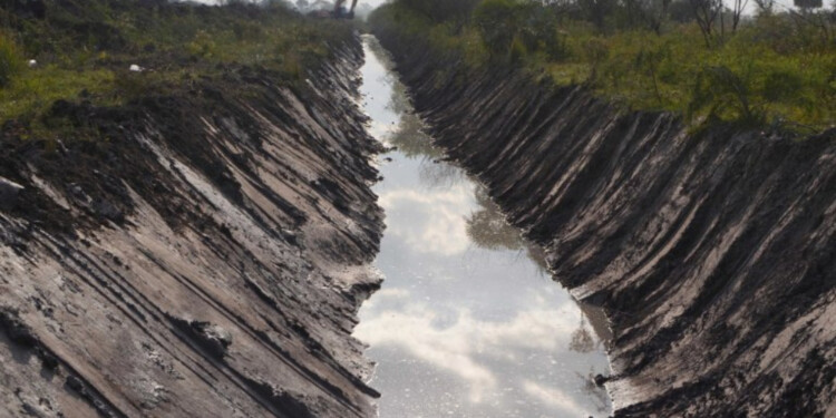 Los restos óseos fueron hallados en el canal Quijano.