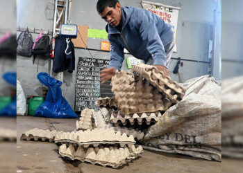 “Cada vez hay menos cartones porque los comercios más grandes los comercializan”