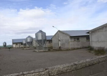 Un misionero, testigo clave en un caso de explotación en el sur