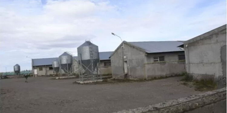 Predio donde trabajaban los empleados en cautiverio y donde permanecían los animales (Foto: la Opinión Austral)