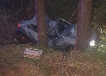 Policía resultó herido tras chocar contra un árbol