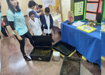La Escuela Especial 5 logró un compost de yerba mate de alta calidad, según el INTA