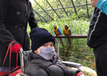 Se cumplirá el último sueño de Dante: abrirán “Ohana” el día de su cumpleaños