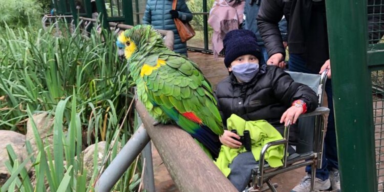 Se cumplirá el último sueño de Dante: abrirán “Ohana” el día de su cumpleaños