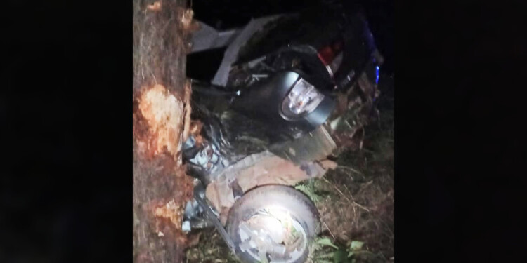 DETROZADO. El auto se estampilló contra un árbol de pino y sus ocupantes quedaron atrapados.