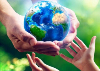 Día del Medio Ambiente: critican la falta de acción